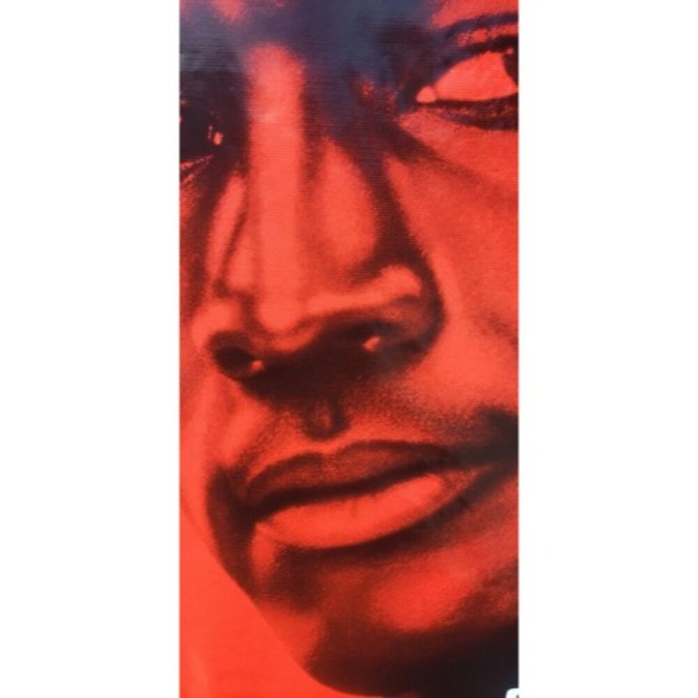 VINTAGE 1996 Space Jam VINYL Movie Poster Michael Jordan Banner 72x47 NO RESERVE - Picture 7 of 10